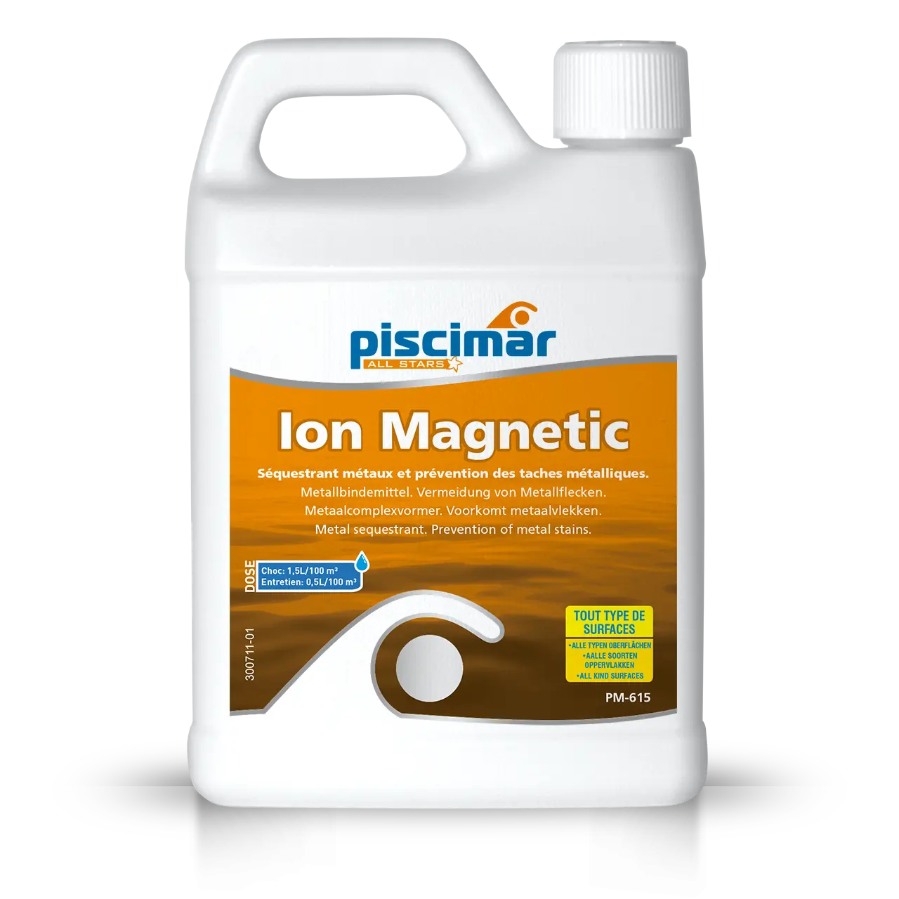 Ion Magnetic